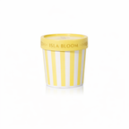 Artisan Caffe Capri Gelato Cup PK
