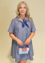 Elora Stripe Collared Swing Mini Dress