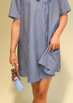 Elora Stripe Collared Swing Mini Dress