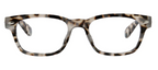 Clark Glasses