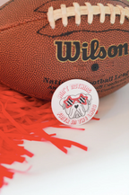 Georgia Gameday Button