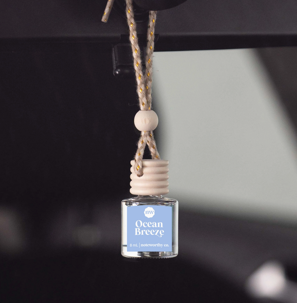 Noteworthy Co Car Diffusers