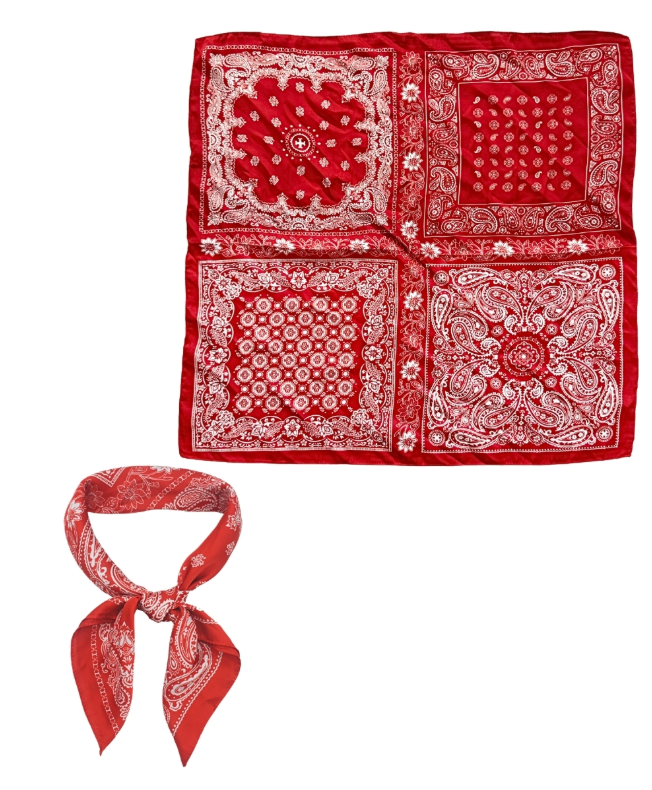 Paisley Block Print Scarf