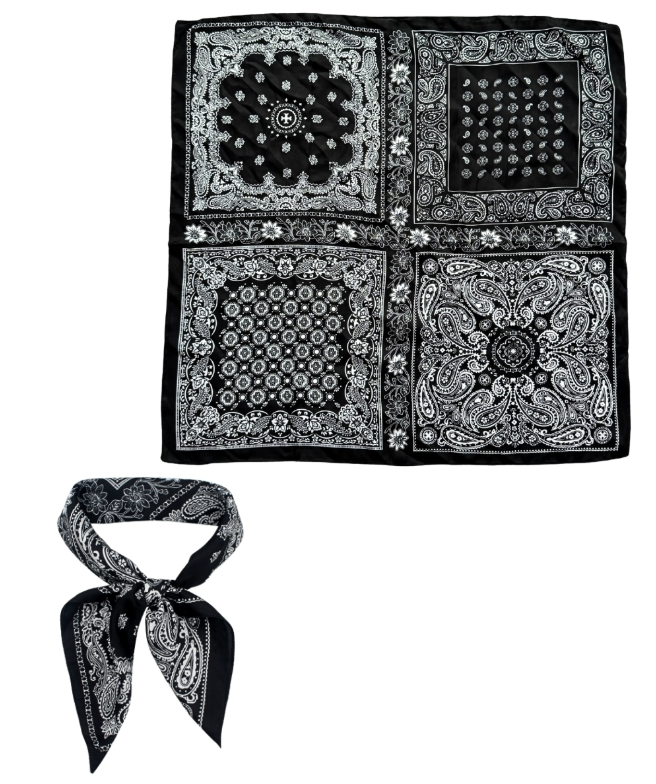 Paisley Block Print Scarf