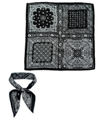 Paisley Block Print Scarf