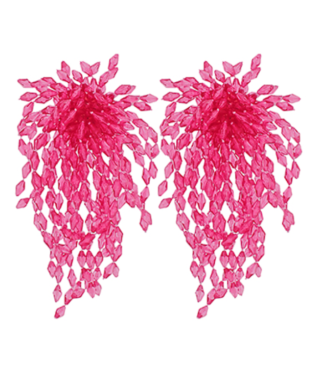 Clear Bead Fringe Earrings