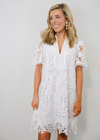 Cammie Lace Overlay Mini Dress