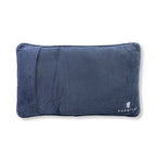 Uncomfortable Needlepoint Pillow