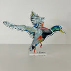 "Take Flight" Mallard Acrylic