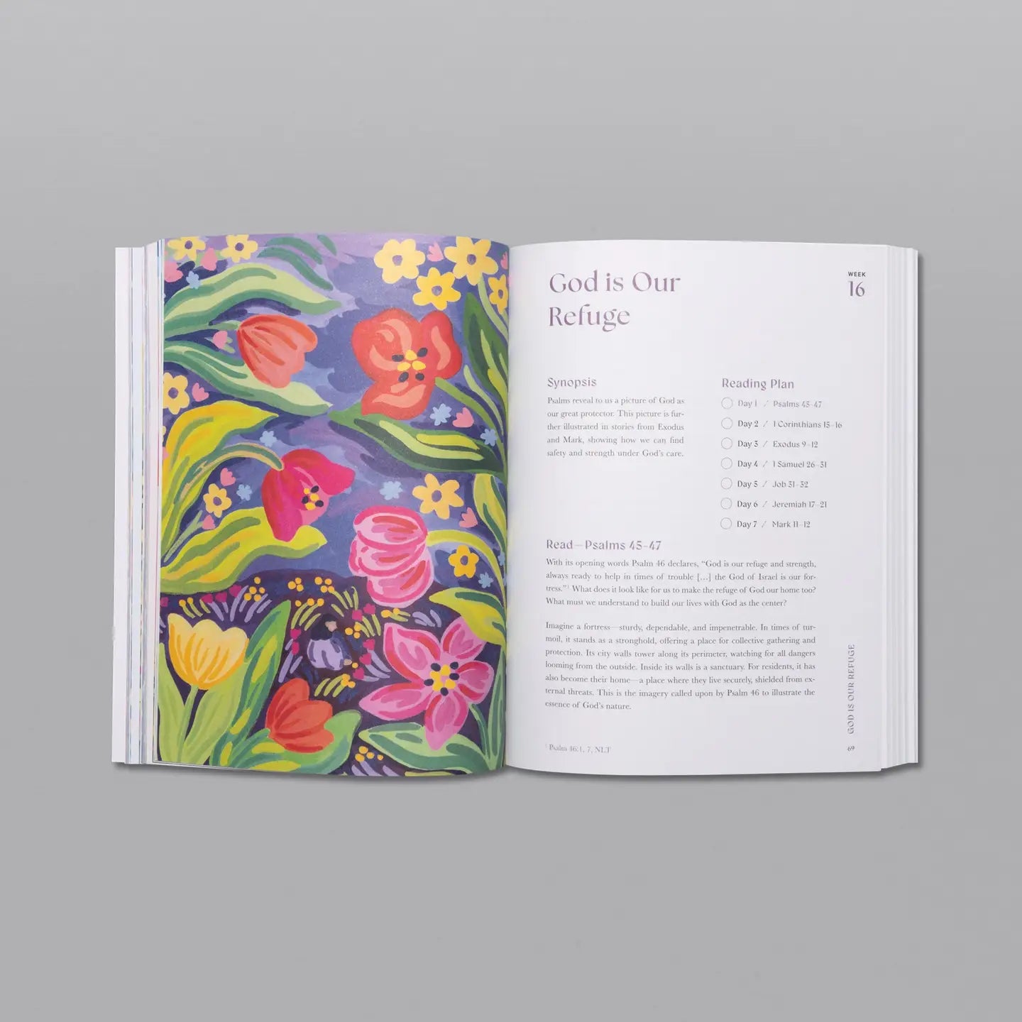 A Beautiful Year in the Bible