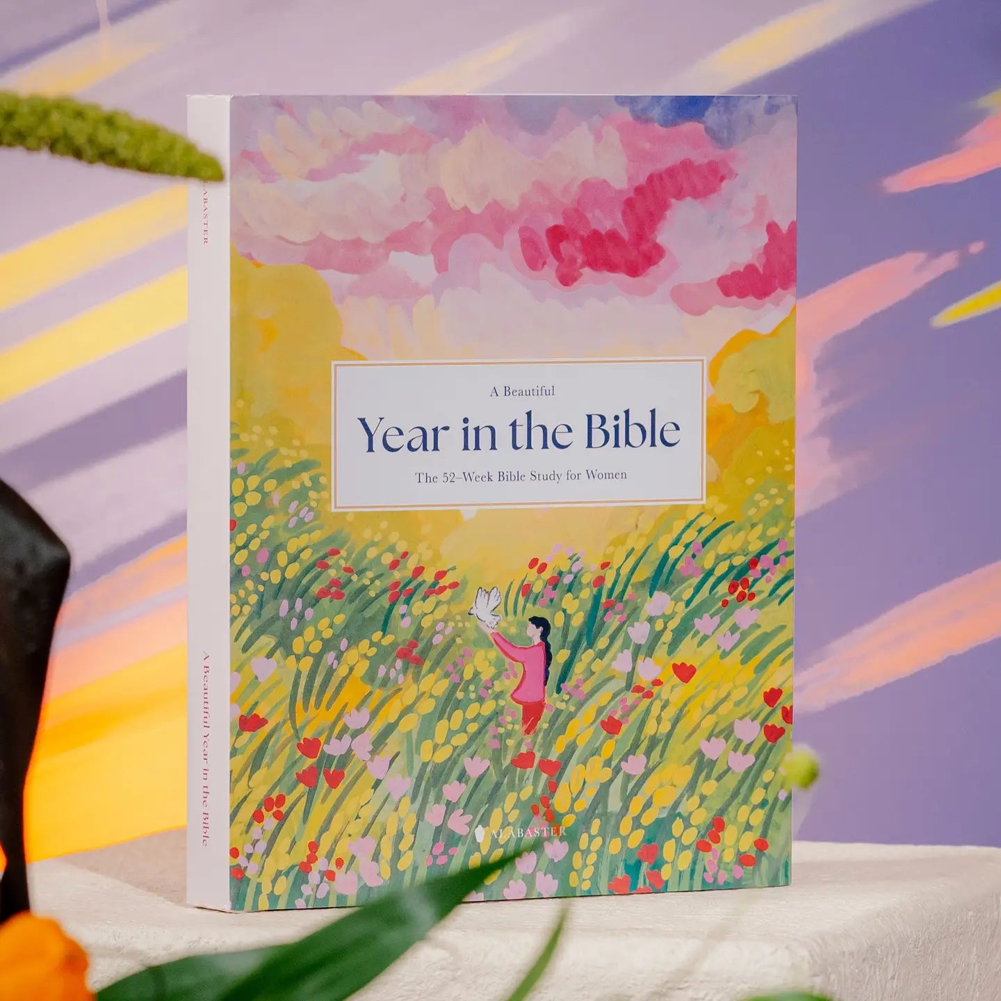 A Beautiful Year in the Bible