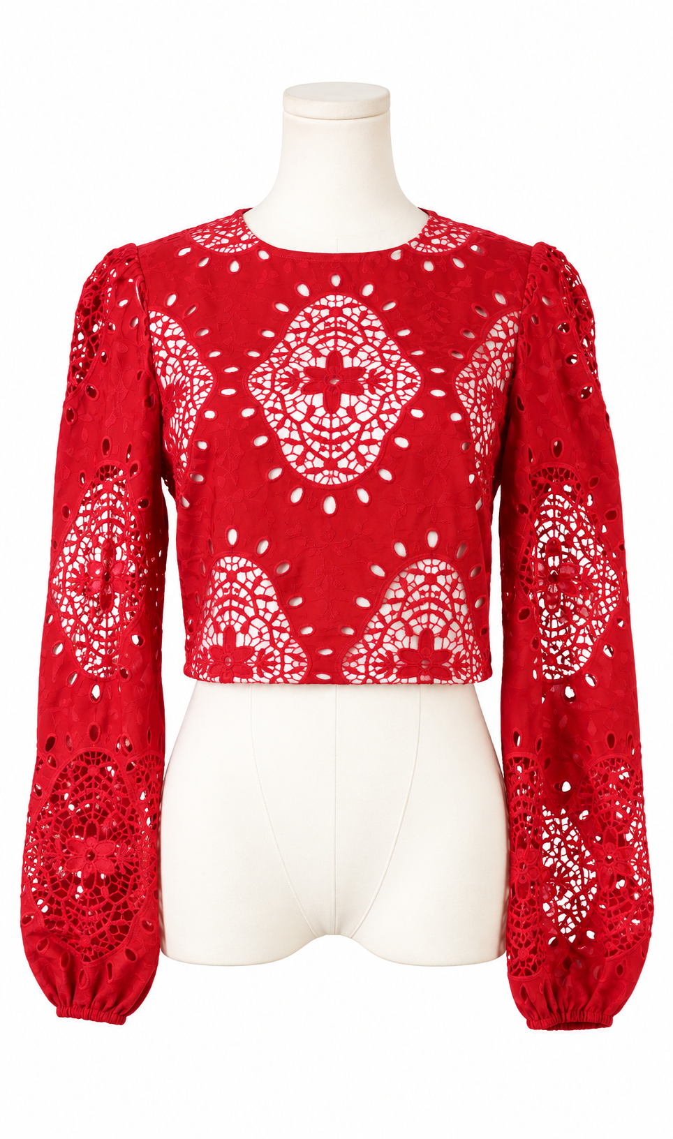 Kim Embroidered Lace Crop Top