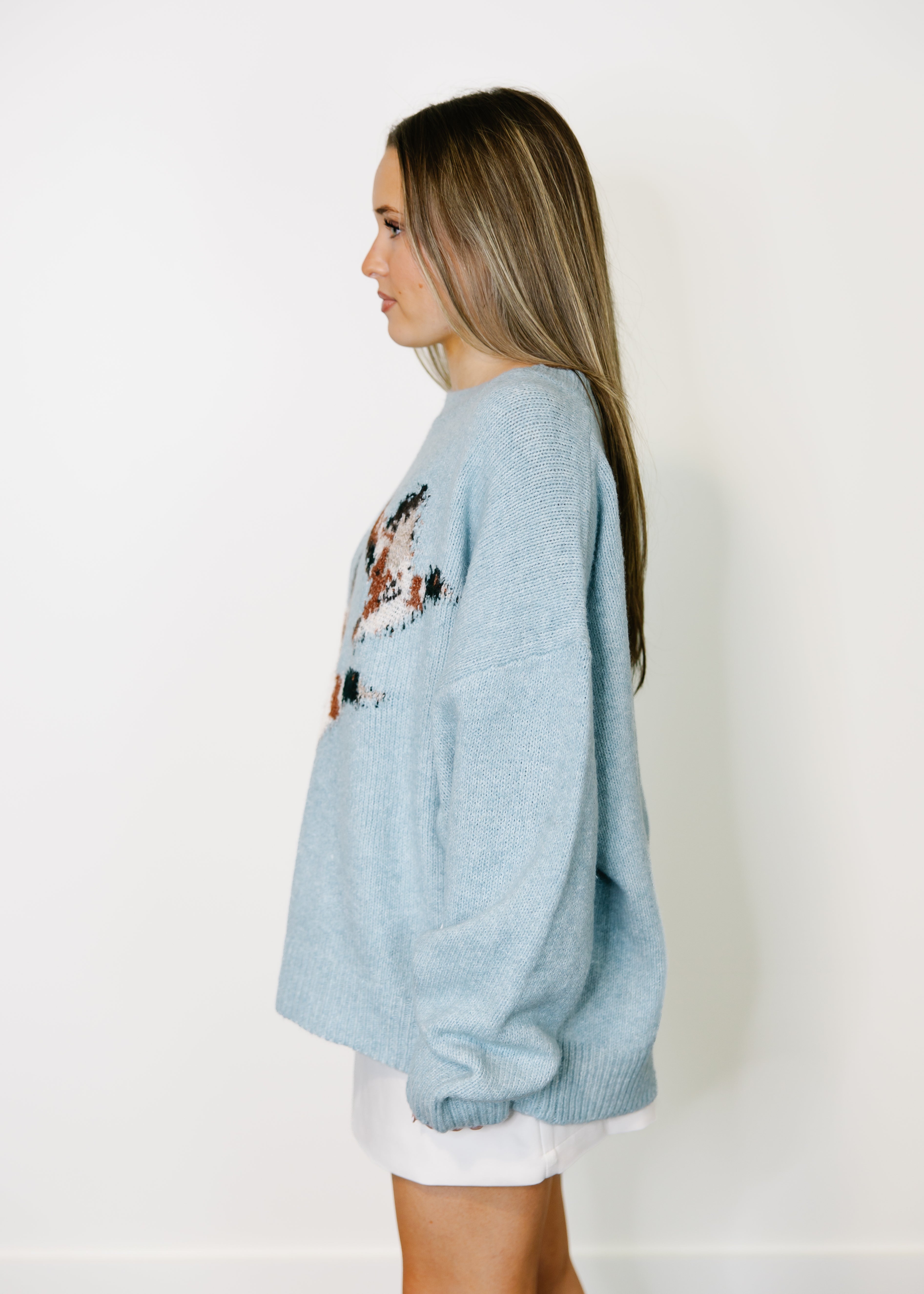 Mallard In Flight Knit Sweater