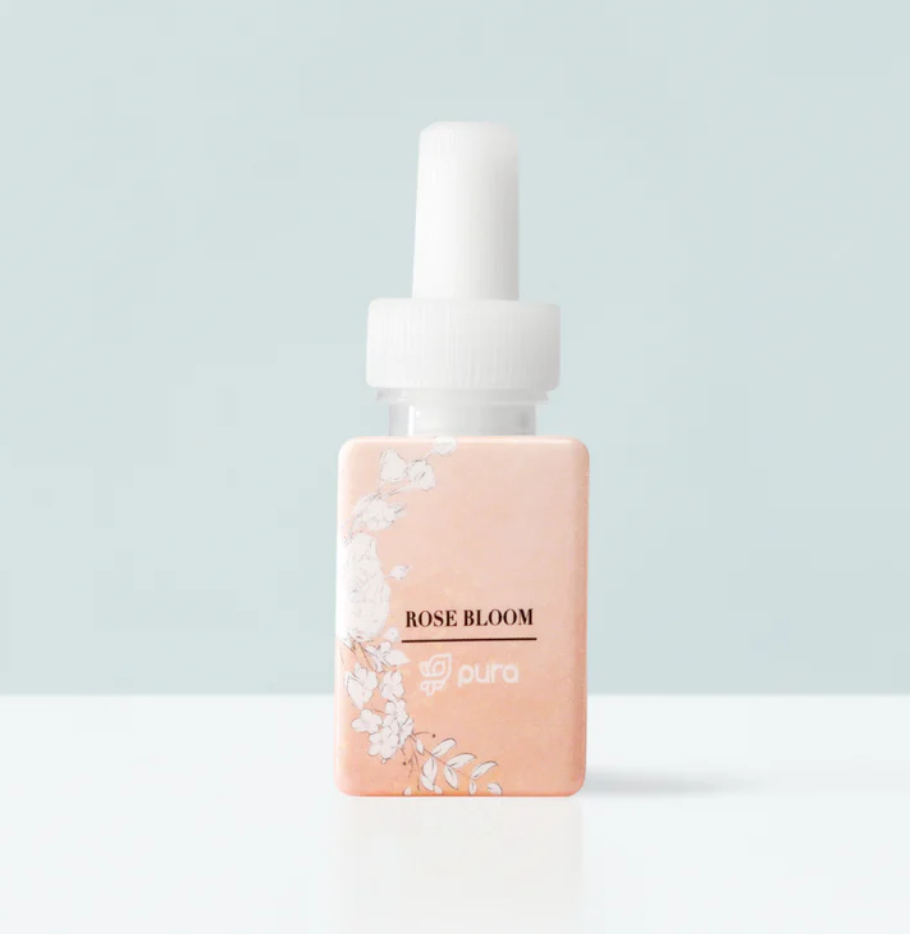 Rose Bloom