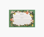 Pack of 12 Recipe Cards